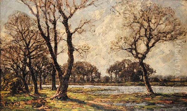 Untitled - Trees In Springtime Oil Painting by Jose Weiss
