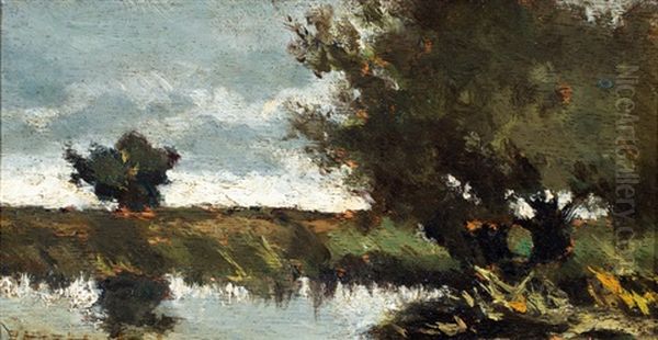 Wilgen Aan Een Plas Oil Painting by Jan Hendrik Weissenbruch