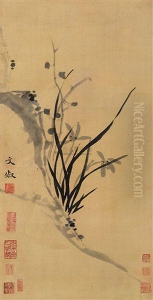 Orchid And Rock Oil Painting by  Wen Chu