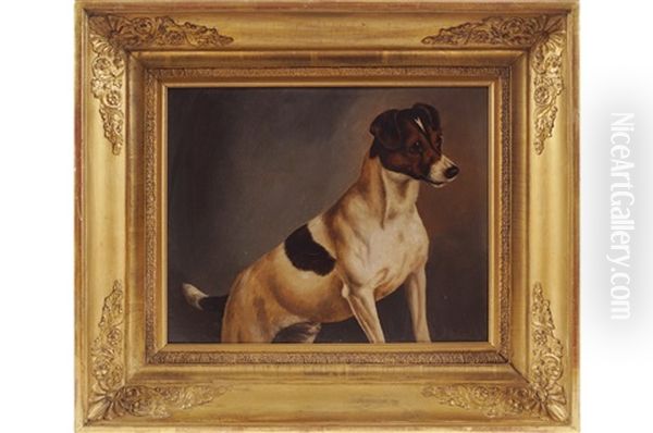 Study Of A Jack Russell Oil Painting by John Alfred Wheeler