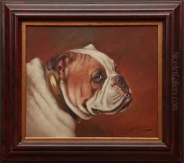 Bull Dogs: A Pair Of Portraits Oil Painting by John Alfred Wheeler