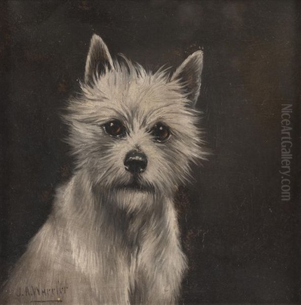 Two Portrait Heads Of Wire-haired Terriers Oil Painting by John Alfred Wheeler