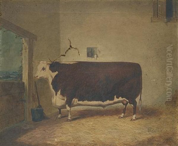 A Prize Cow In A Barn Oil Painting by Richard Whitford Jr.