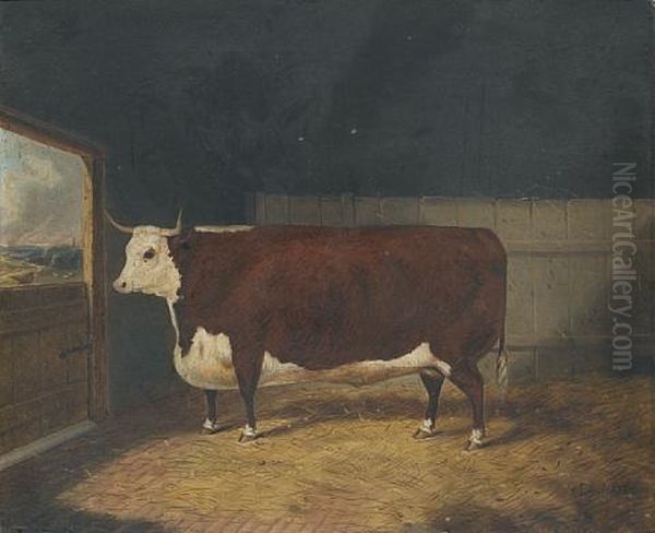 A Prize Cow In A Barn Oil Painting by Richard Whitford Jr.