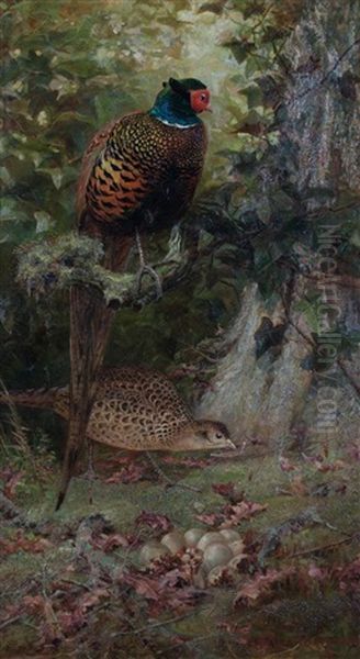 Pheasants, 1884 Oil Painting by Charles Whymper