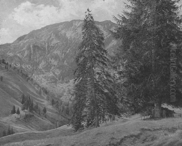 Sommerliche Gebirgslandschaft Oil Painting by Julius Widnmann