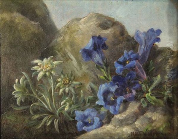Edelweiss And Gentiana Oil Painting by Paula Wildhack