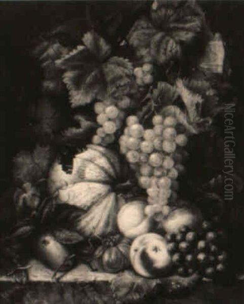 Still Life With Fruit On A Ledge Oil Painting by Rudolphine Swanida Wildrik