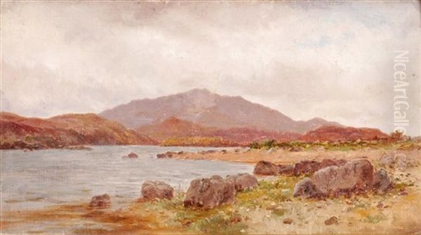 Lough Conn, County Mayo Oil Painting by Alexander Williams