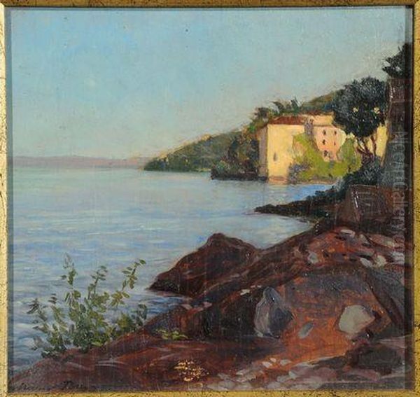 L'ansa Del Ticino Vista Dal Belvedere Oil Painting by Mario Broggi