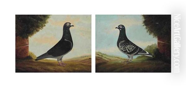 Falcon Leader; And Little Dixie Oil Painting by Edward Henry Windred