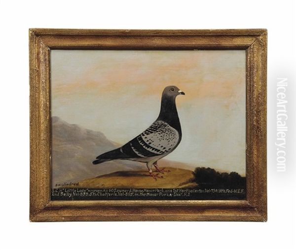 Little Lady Oil Painting by Edward Henry Windred