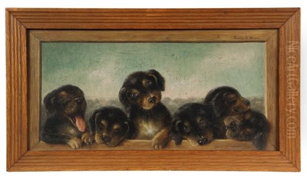 Six Puppies In A Trompe L'oeil Frame Oil Painting by Susanna Adams Winn