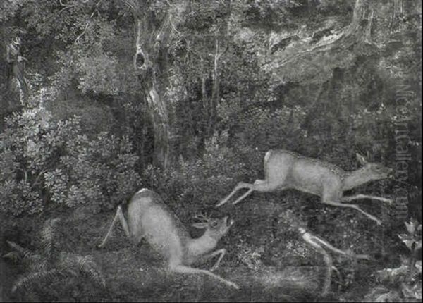 A Stag And A Doe In A Thicket Fleeing From A Huntsman And   His Hounds Oil Painting by Joseph Georg Winter