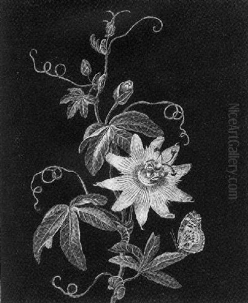 A Passion Flower With A Butterfly Oil Painting by Adam Louis Wirsing
