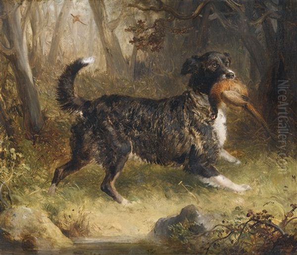 A Setter Retrieving A Cock Pheasant Oil Painting by Thomas Woodward
