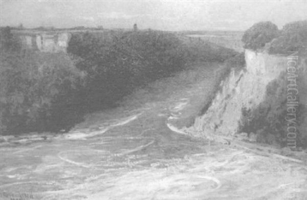 The Whirlpool, Niagara Falls Oil Painting by Joseph R. Woodwell