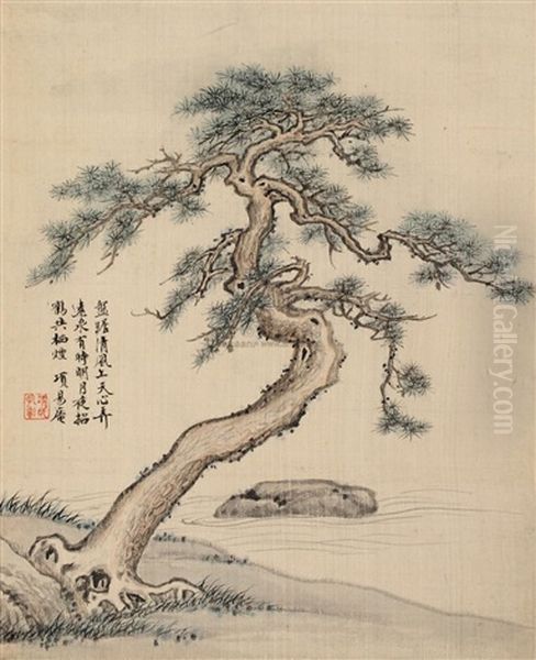 Pine Tree Oil Painting by Xiang Shengmo