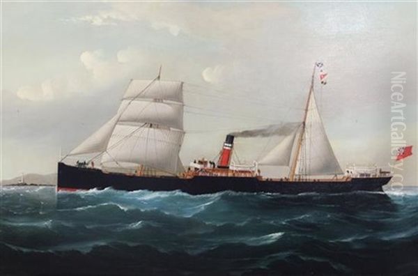 The Steamer 'highland Lassie' Oil Painting by William Howard Yorke