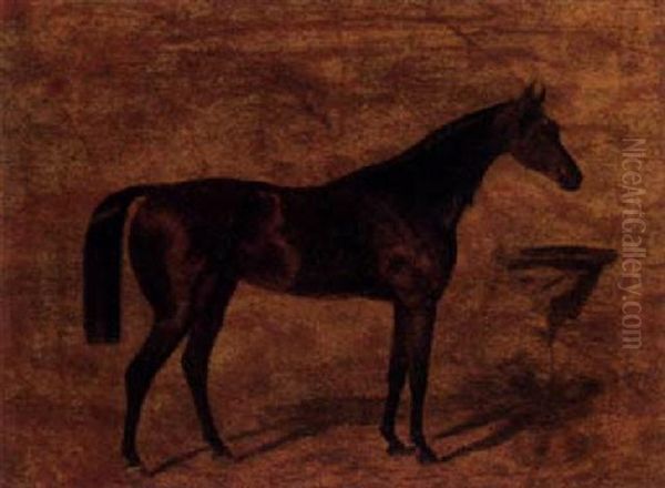 A Dark Brown Horse Before A Manger Oil Painting by Anton Zampis