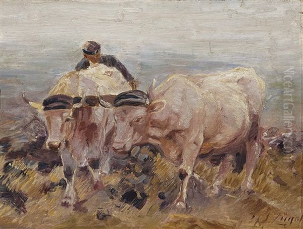 Shepherd With Two Oxen On The Plough Oil Painting by Heinrich von Zuegel