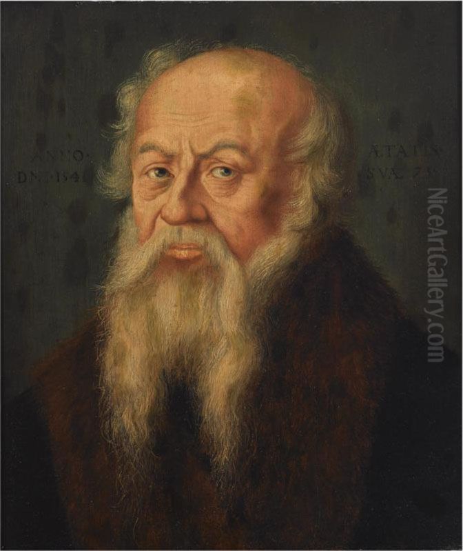 A Portrait Of A Bearded Old Man Oil Painting by Bartholomaeus, the Elder Bruyn