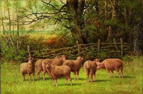 Sheep And Ram In A Pasture Oil Painting by Edward E. Burrill