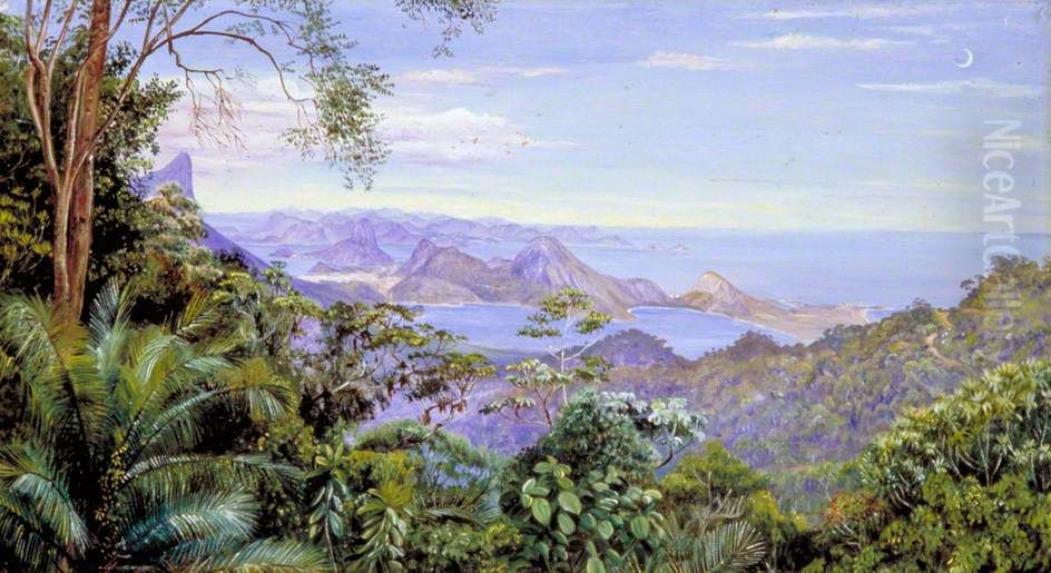 View of the Bay of Rio and the Sugar-Loaf Mountain, Brazil Oil Painting by Marianne North