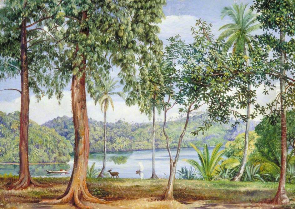 View from Kalutara, Ceylon Oil Painting by Marianne North