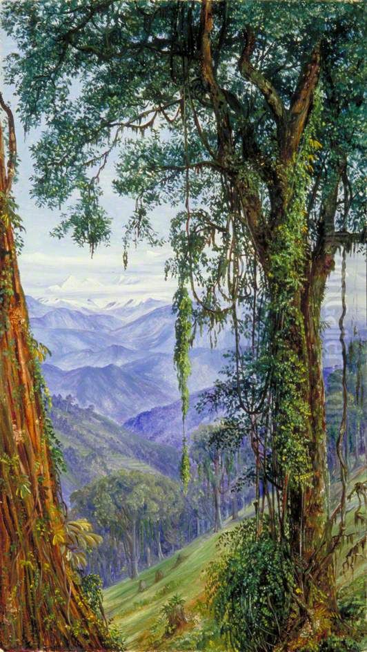 View from Rungaroon near Darjeeling, India Oil Painting by Marianne North