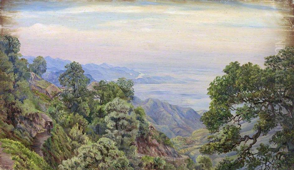 Doon from Mussoorie, Uttar Pradesh, India Oil Painting by Marianne North
