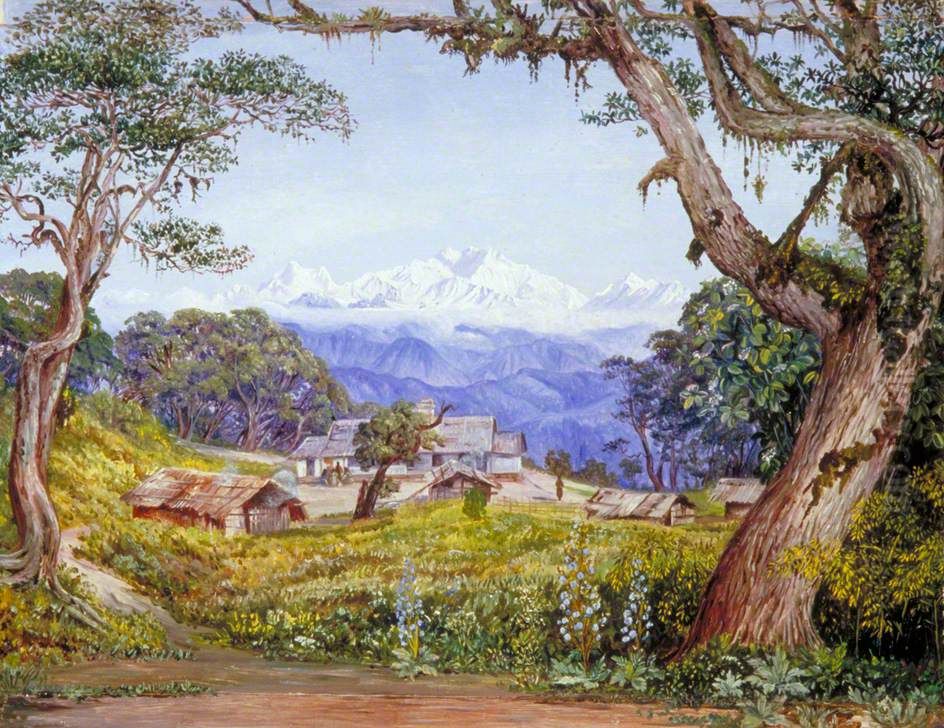 View of Kinchinjunga from Tonglo Oil Painting by Marianne North