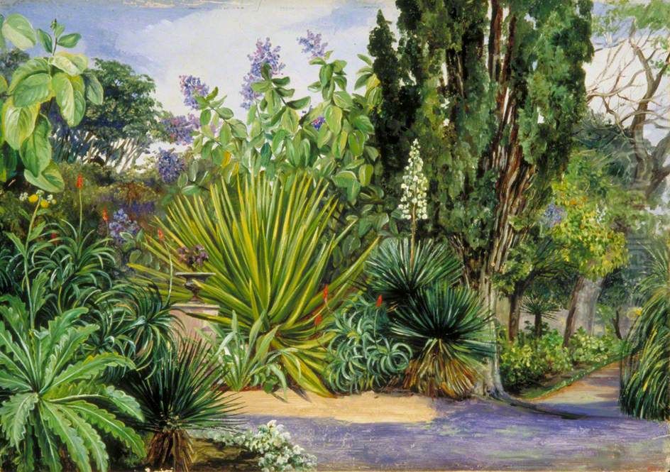 View in the Garden of Acclimatisation, Teneriffe Oil Painting by Marianne North