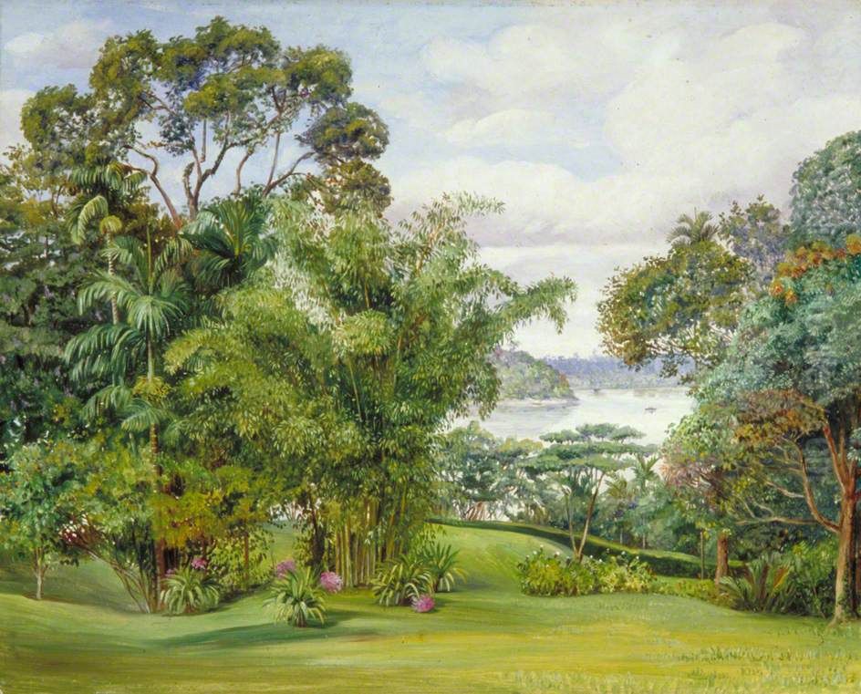 View of the River from the Rajah's Garden, Sarawak, Borneo Oil Painting by Marianne North
