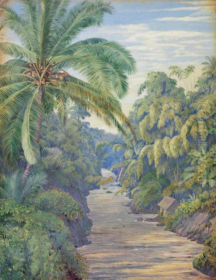Views from the Bridge at Buitenzorg (Bogor), Java Oil Painting by Marianne North