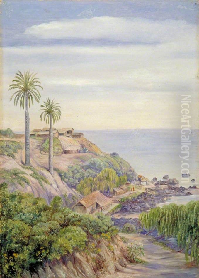 View of Concon, Chili, with Its Two Palms Oil Painting by Marianne North