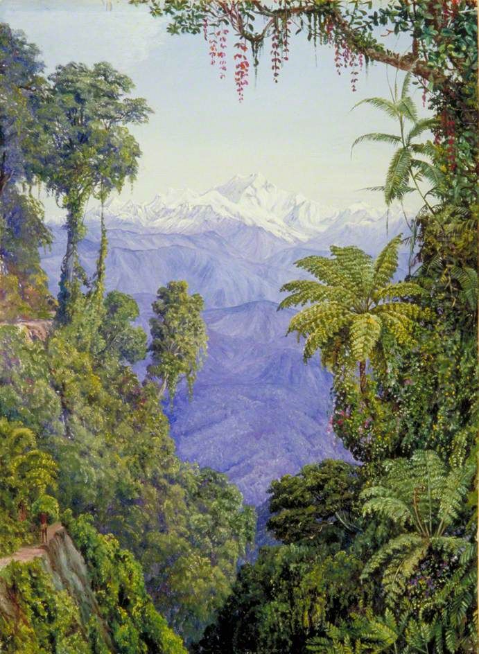 Distant View of Kinchinjunga from Darjeeling Oil Painting by Marianne North