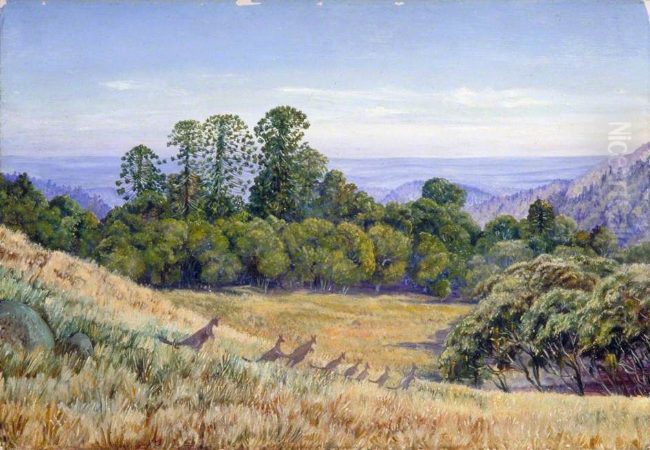 View in the Bunya-Bunya Forest, Queensland, and Kangaroos Oil Painting by Marianne North