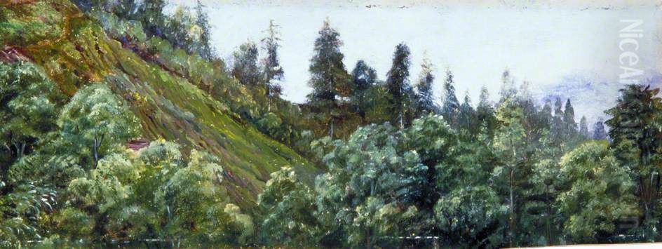 Pine-Clad Slopes of Nagkunda, North India, and View of the Distant Mountains Oil Painting by Marianne North