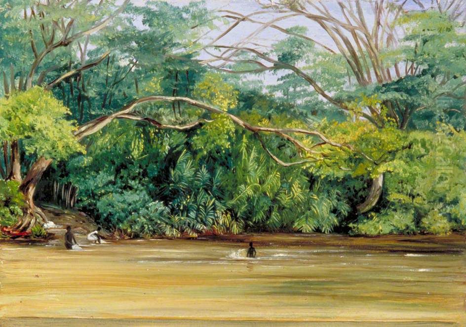 View of the Sandy River at Spanish Town, Jamaica Oil Painting by Marianne North