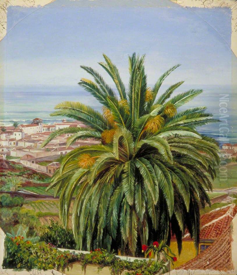 View of Puerto de Orotava, Teneriffe, from Sitio del Pardo Oil Painting by Marianne North