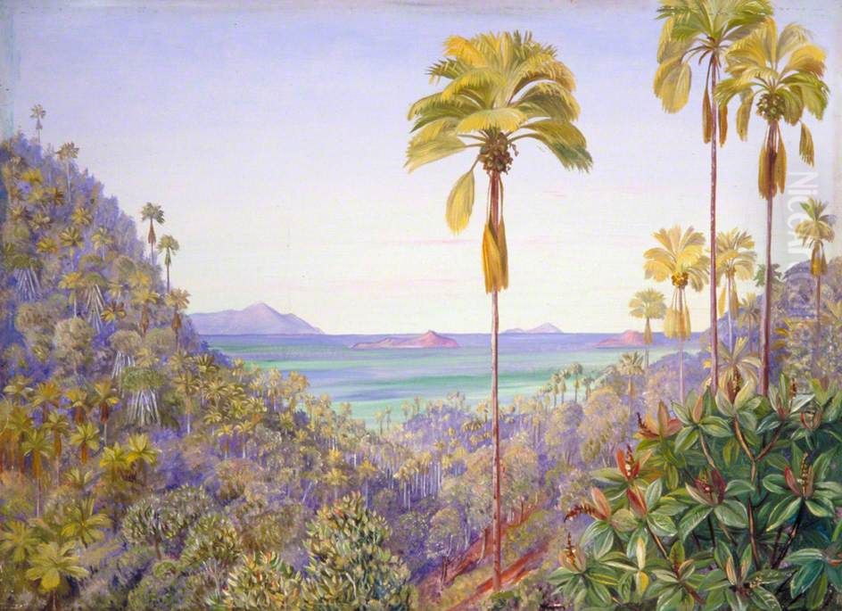 Coco de Mer Gorge in Praslin, Seychelles, with Distant View of Mahe Silhouette and the Cousins Oil Painting by Marianne North
