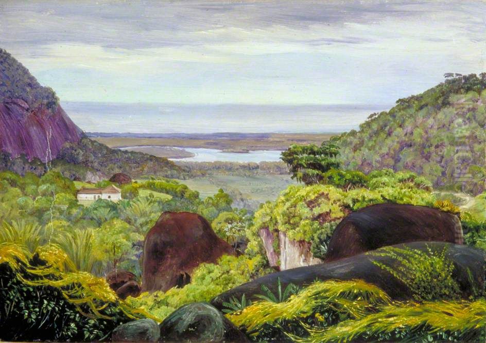 View near Tijuca, Brazil, Granite Boulders in the Foreground Oil Painting by Marianne North