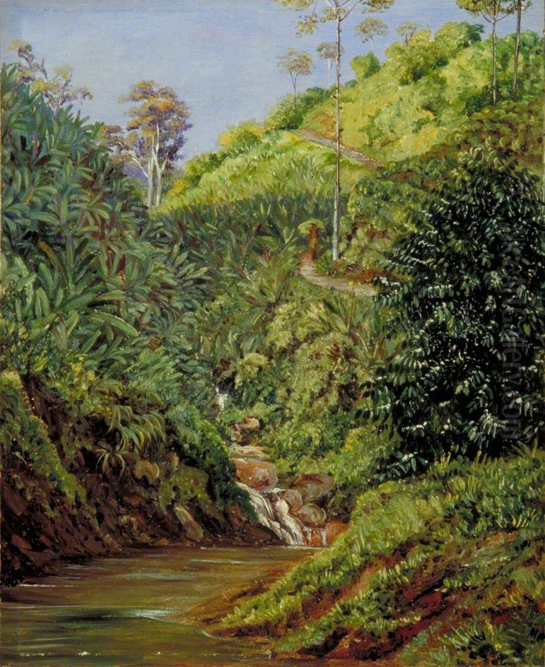View near Garoet, Java, Wild Bananas and Coffee Bushes in Front Oil Painting by Marianne North
