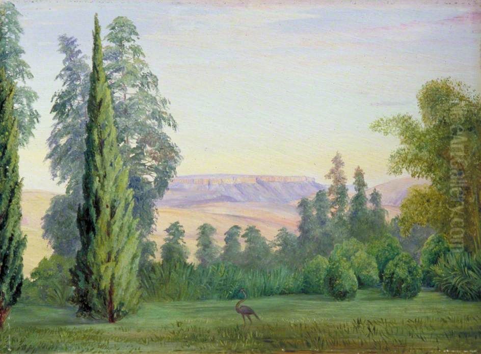 View of a Table Mountain from Bishop Colenso's House, Natal Oil Painting by Marianne North