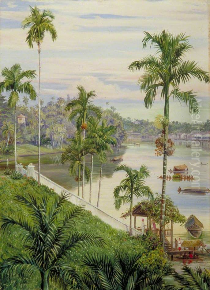 View down the River at Sarawak, Borneo Oil Painting by Marianne North