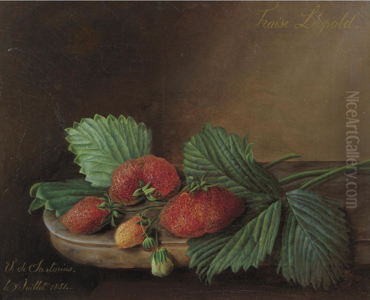 Fraises Leopold Oil Painting by Virginie Sartorius