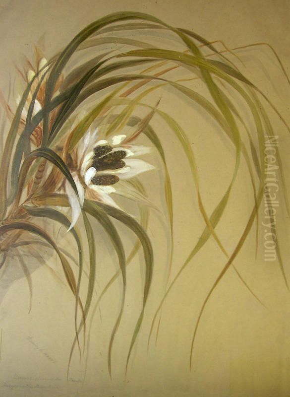 Ureure. Flower of the kiekie. Freycinetia Banksii Oil Painting by Emily Cumming Harris