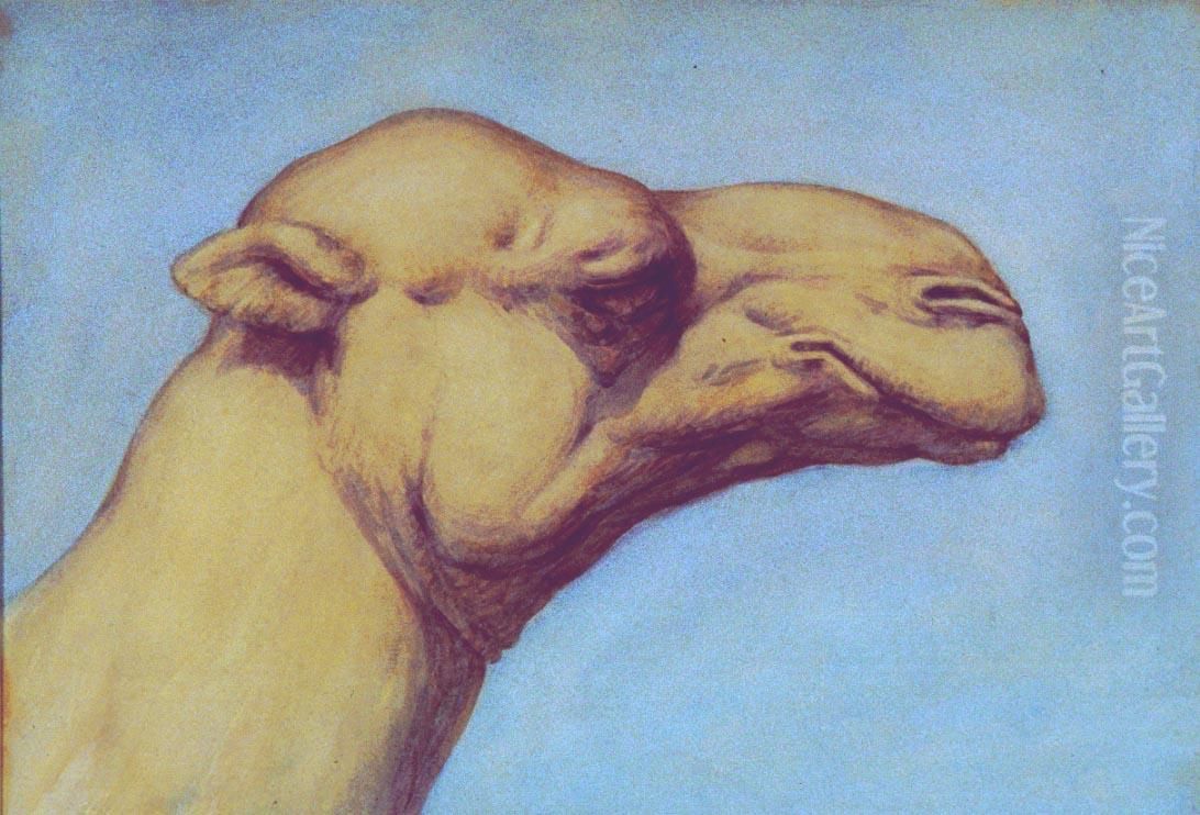 Untitled (Head of a Camel) Oil Painting by Vivian Smith