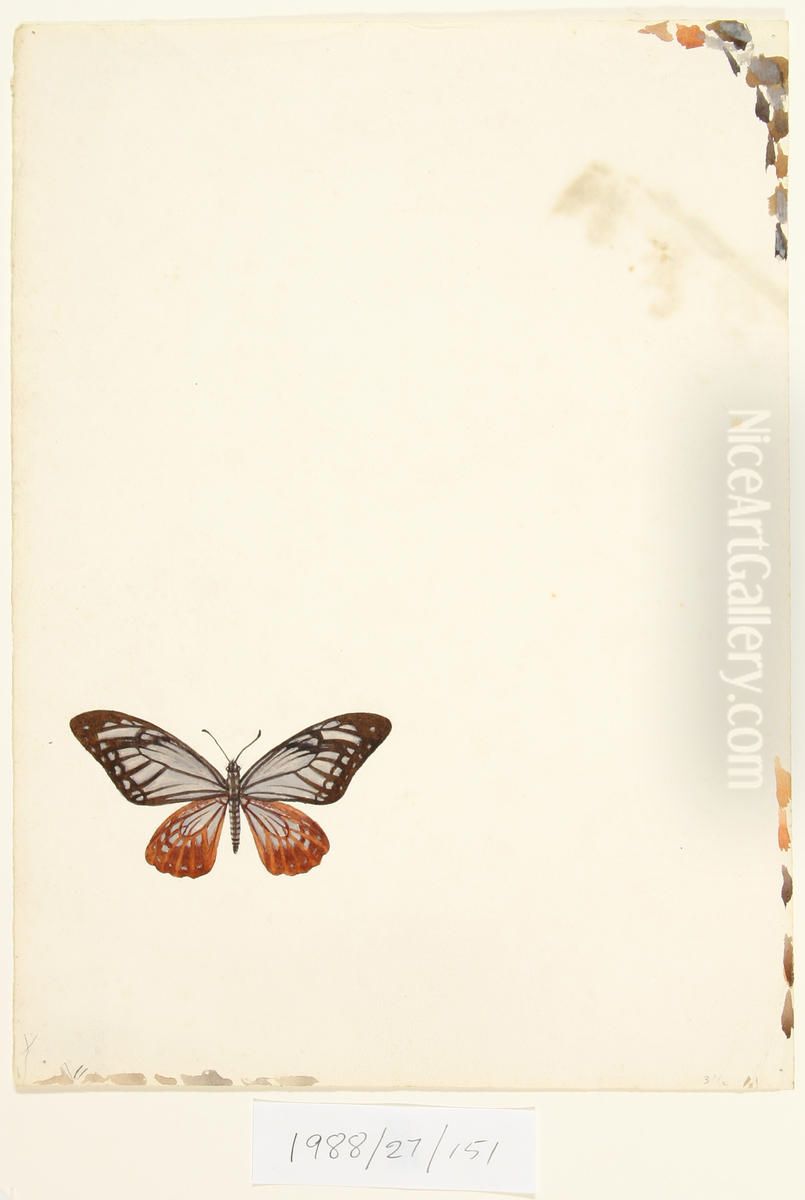 Untitled (Butterfly) Oil Painting by Vivian Smith